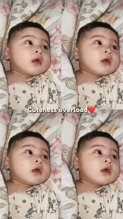 Cuteness overload