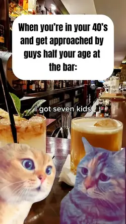 Two Cats Talking