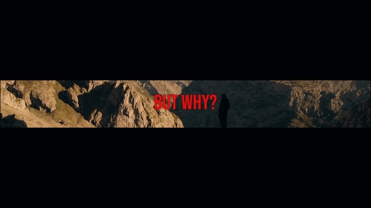 but why?