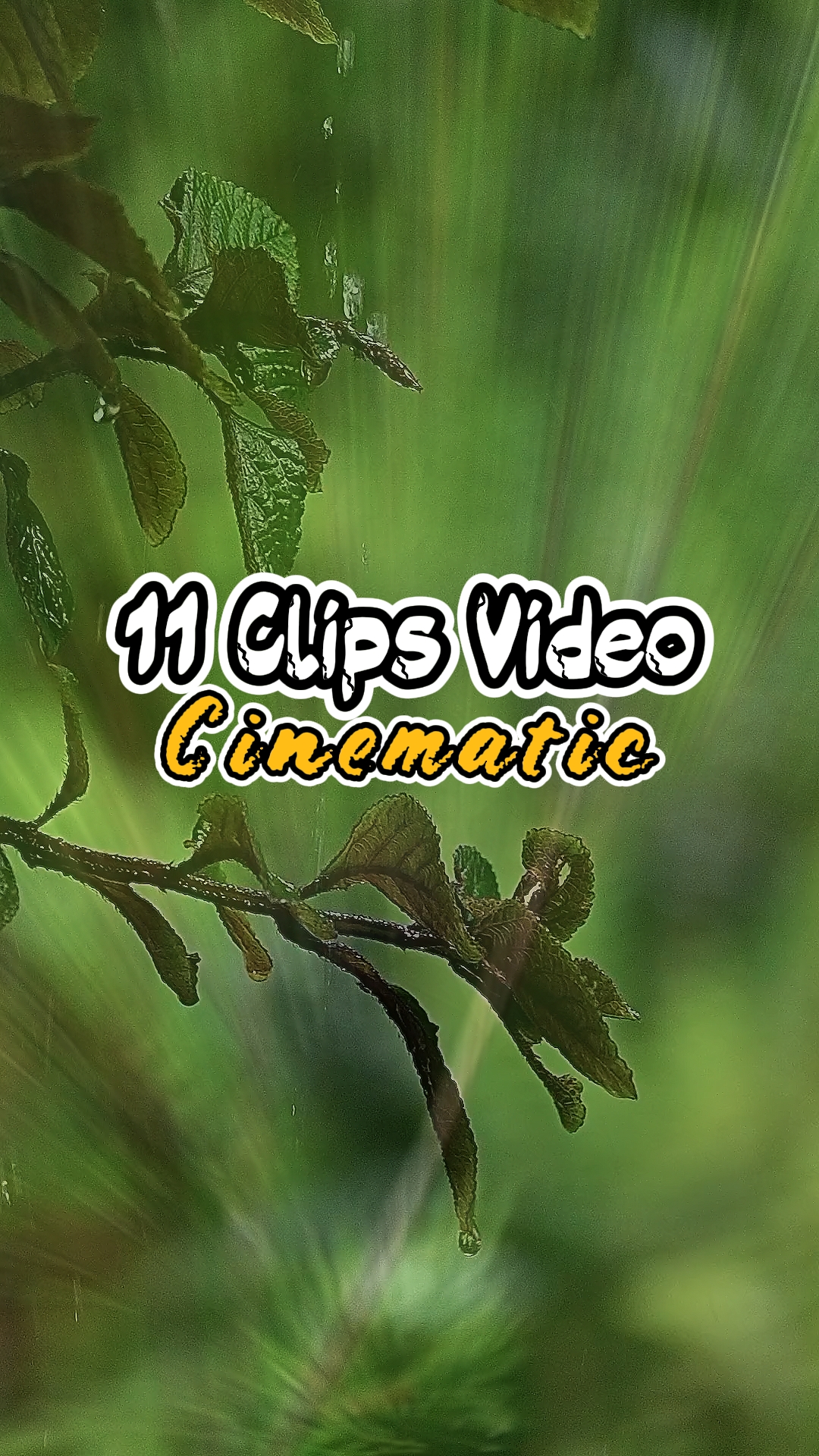 11 Clips Vidéo