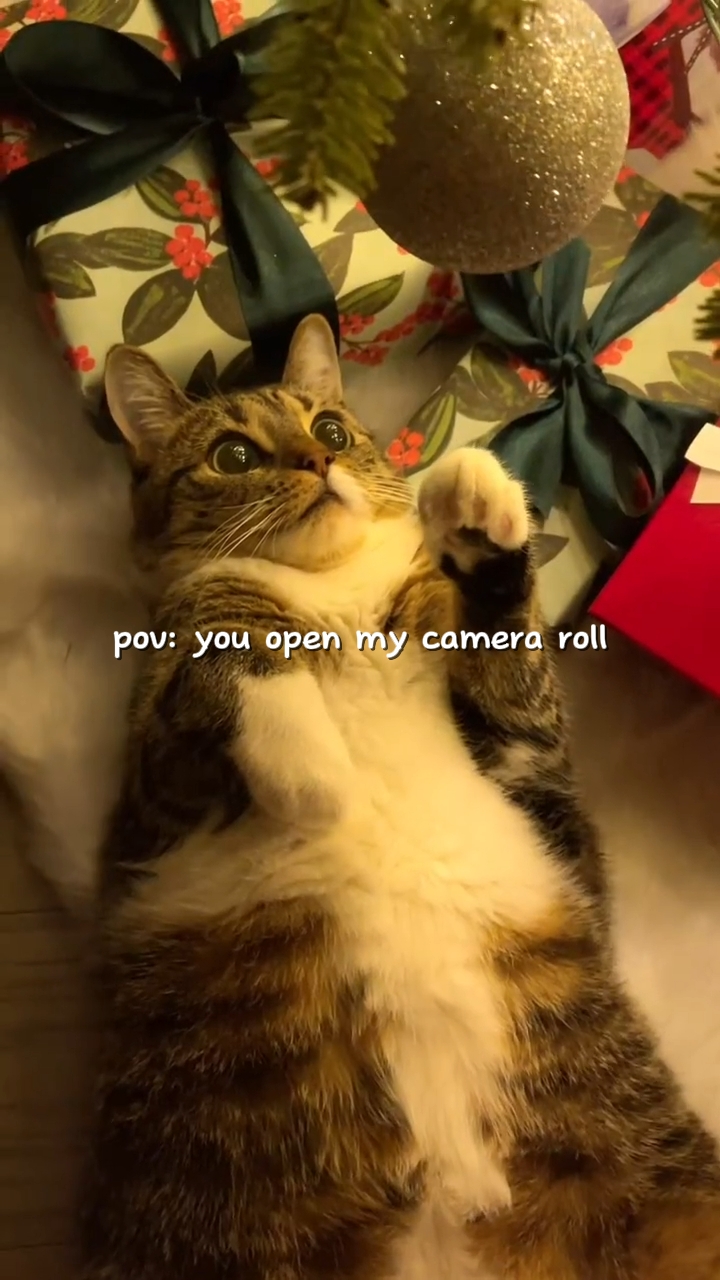 my camera roll
