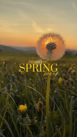 Cinematic Spring 