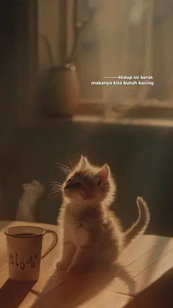 butuh kucing
