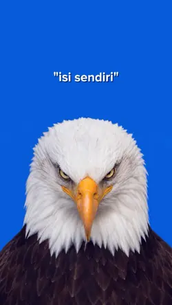 jj geser 6 foto