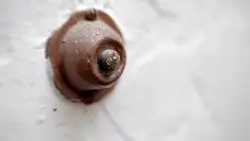 door bell