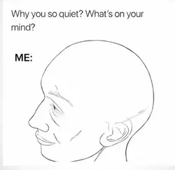 why you so quiet?