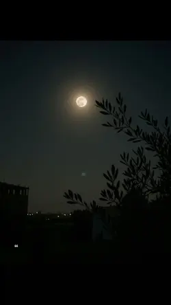 kürtçe şablon viral 