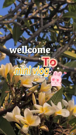 wellcome to mini vg