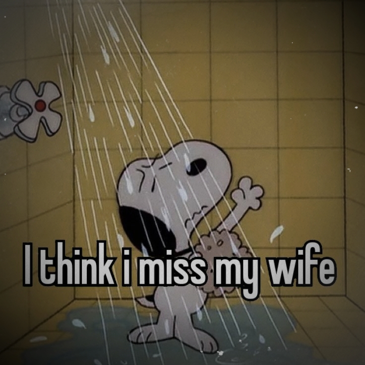 Extraño a mi esposa
