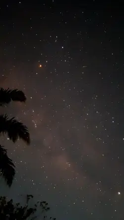 milky way status mu