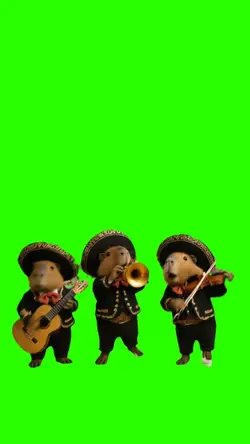 Mariachi Capibaras