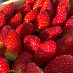 🍓 ARE MY LIFE