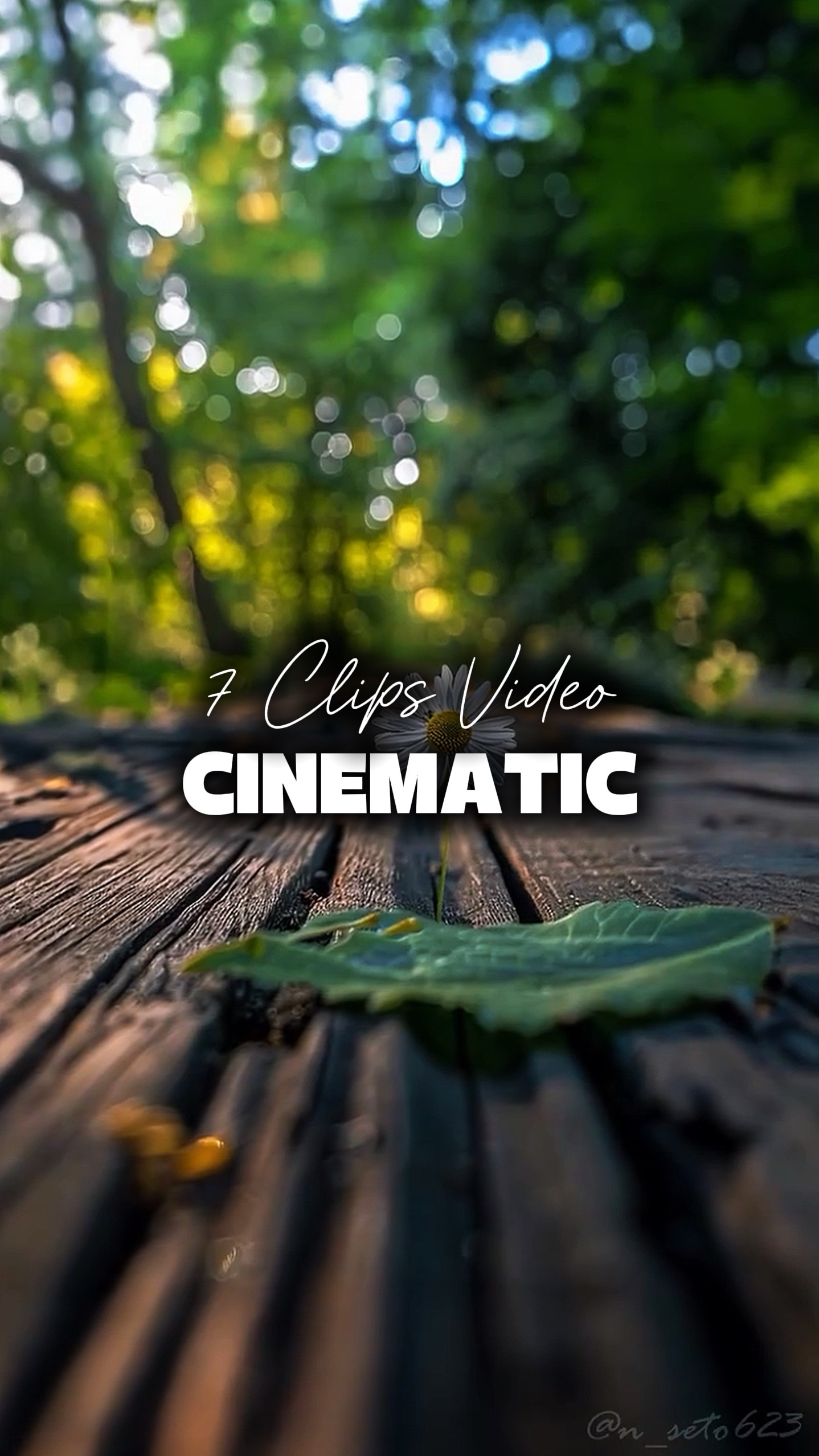 7 Clips Videos 
