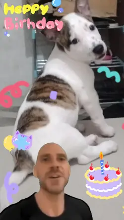 happy birthday greet