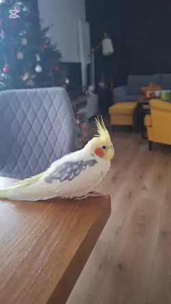 tęsknię za nią...