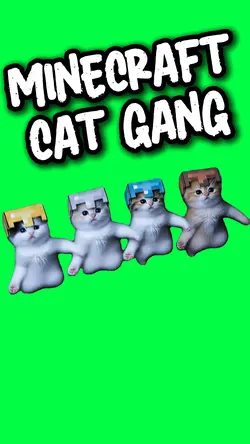 MINECRAFT CAT GANG