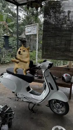 ANJING JOGET