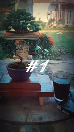 #1
