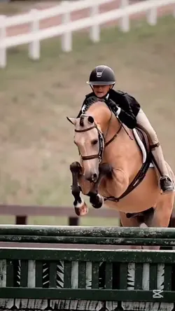 Jumpers and hunters 