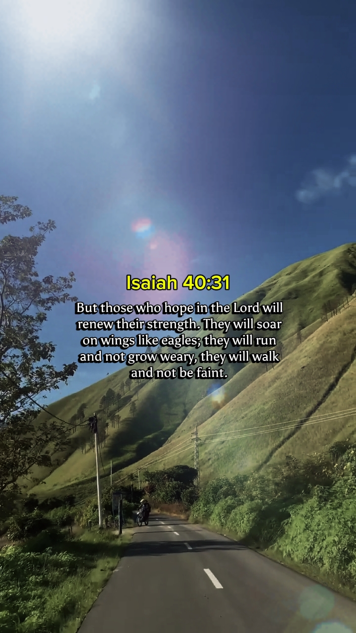 bible verse 
