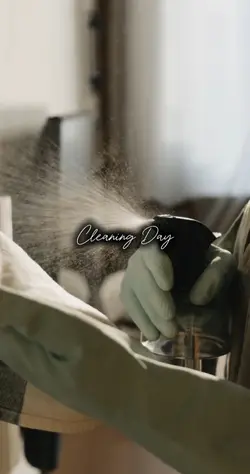 Cleaning Day