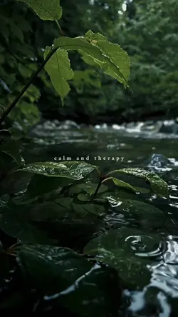 calm and therapy