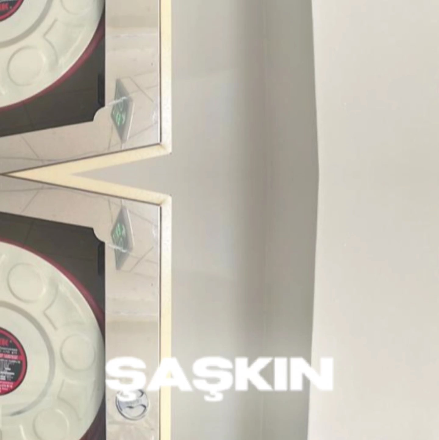 ŞAŞKIN SANA NE DEDİM