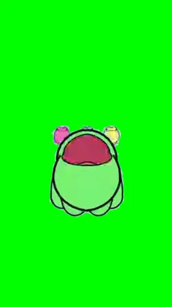 frog shoebody