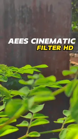 Aees Cinematic
