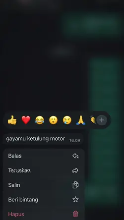 Kita punya wajarlah