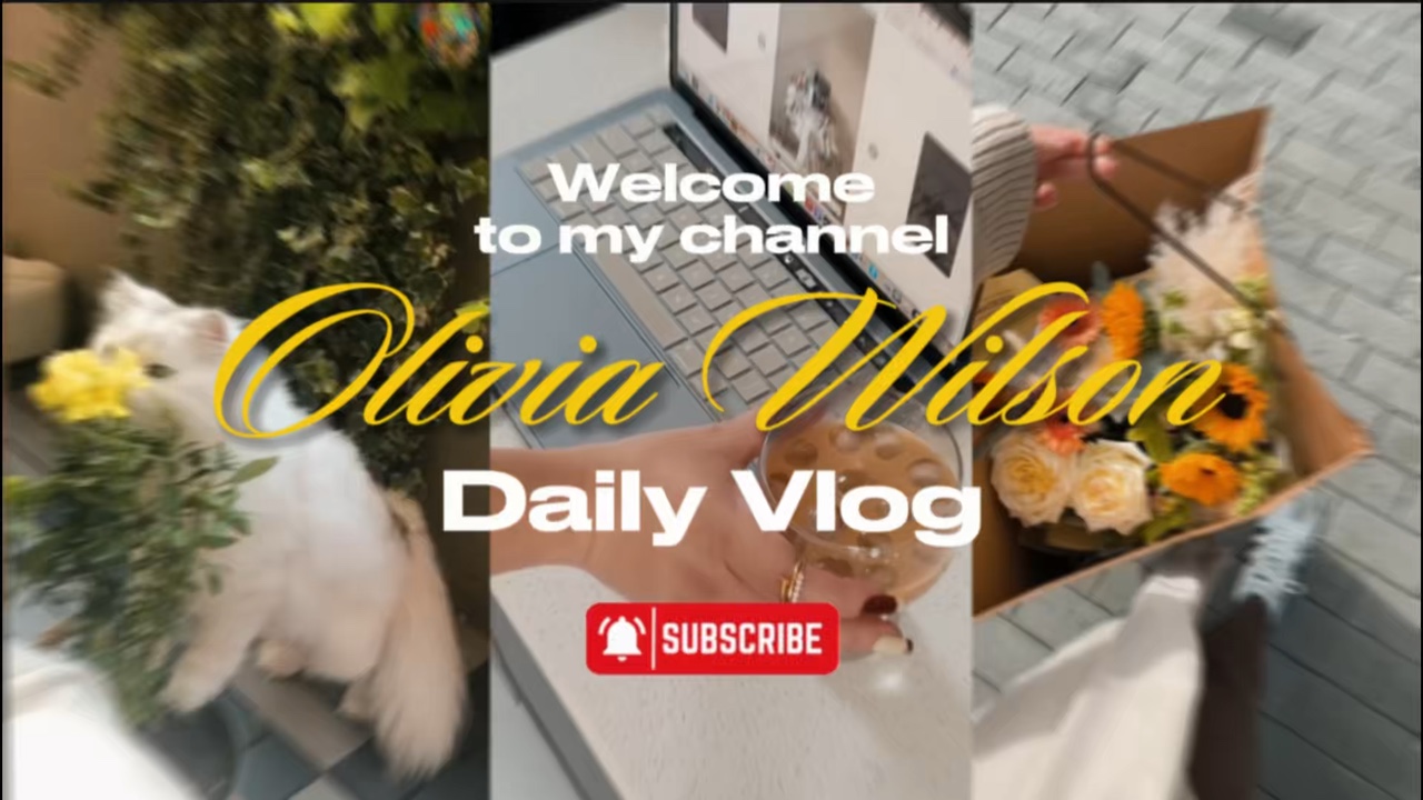 Introdução diária do vlog