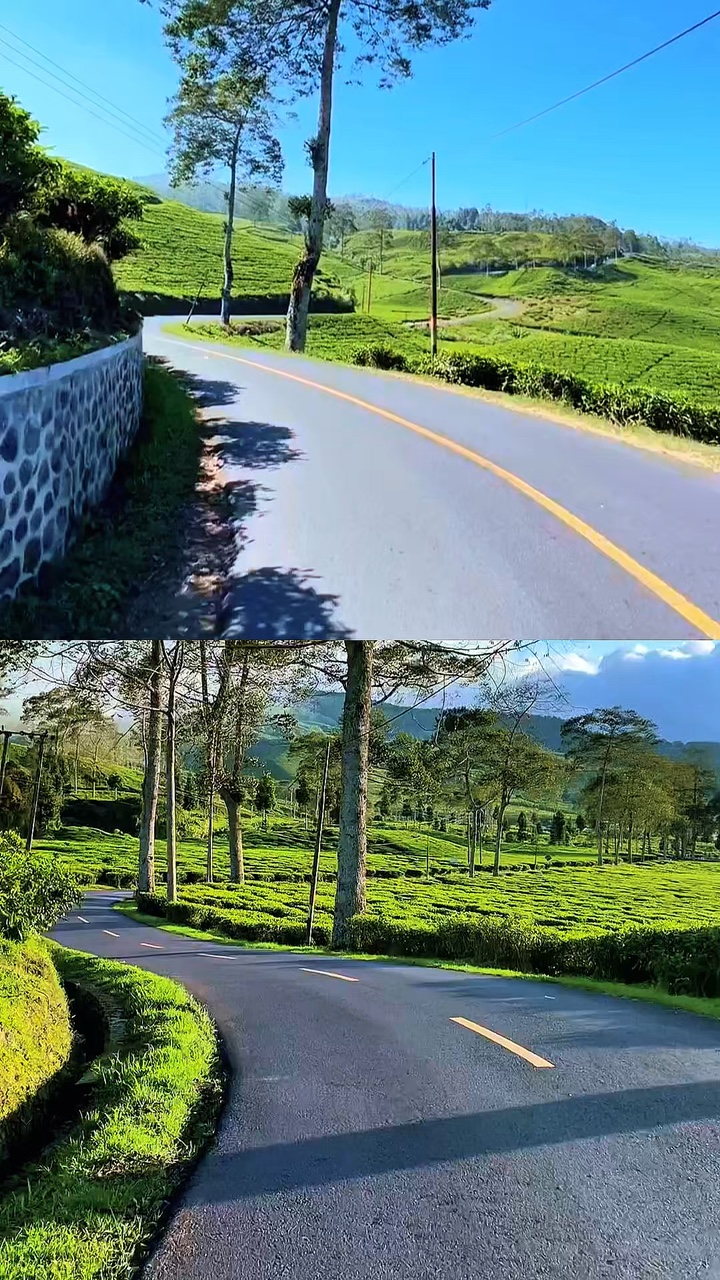 2 video collage