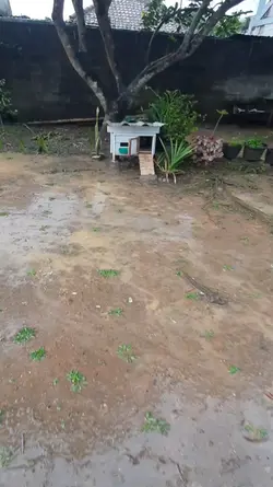 Mini Farm