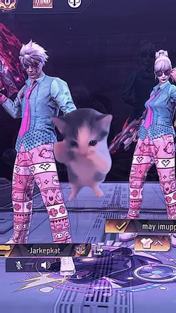 kicau maniaa