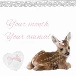 Ur month ur animal
