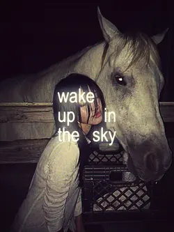 wake up in the sky
