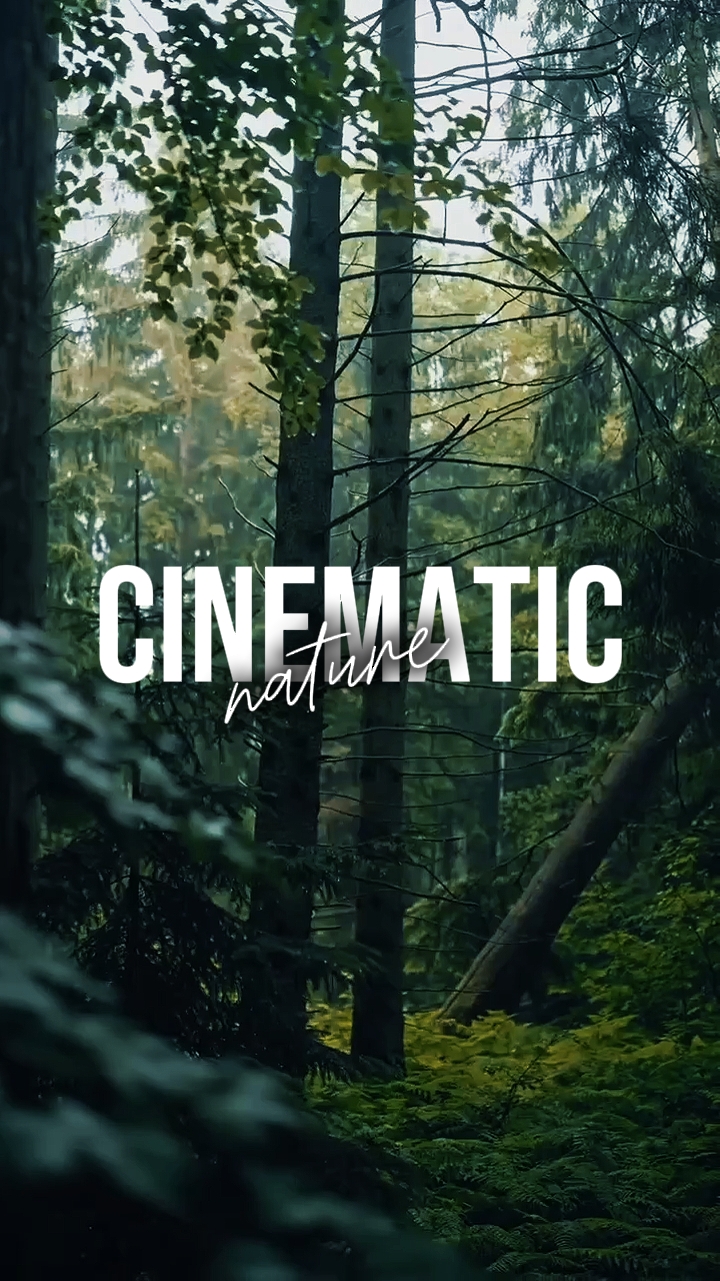 CINEMATIC NATURE