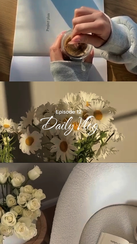 Vlog diario