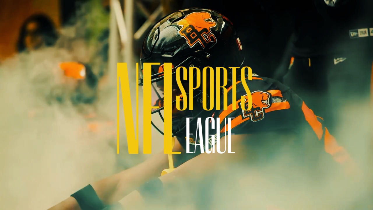nfl lig sporları