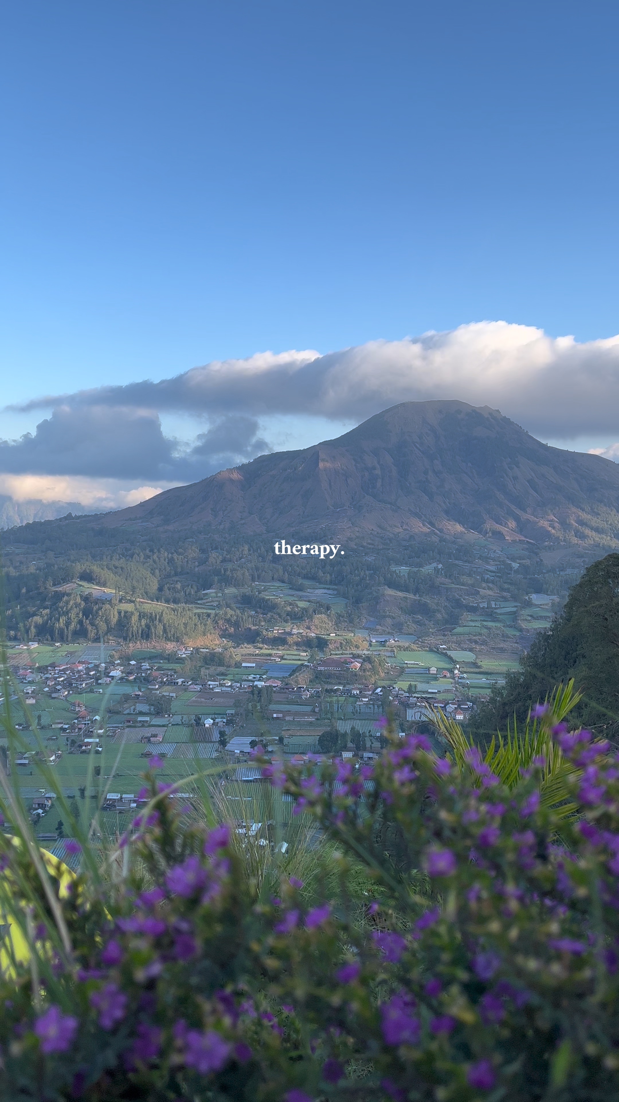 Therapy