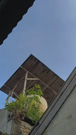 Timeless the Weekend