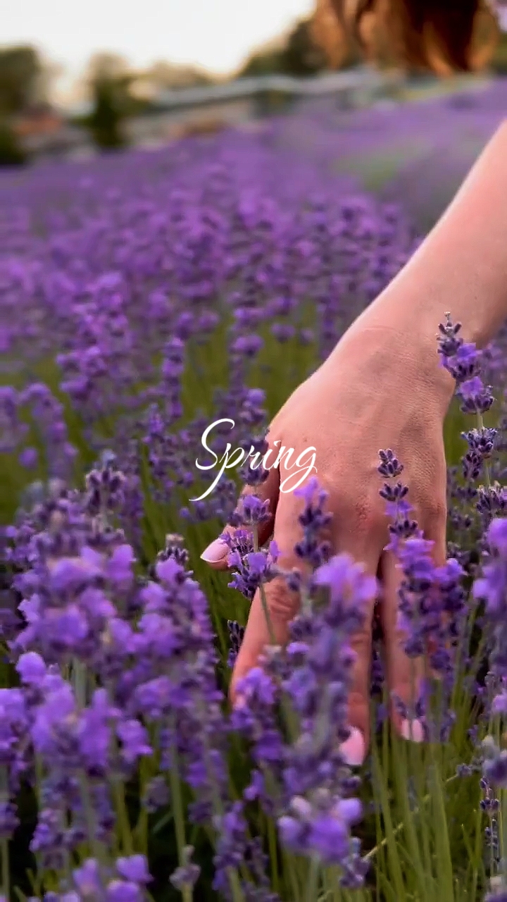 Vibras de primavera