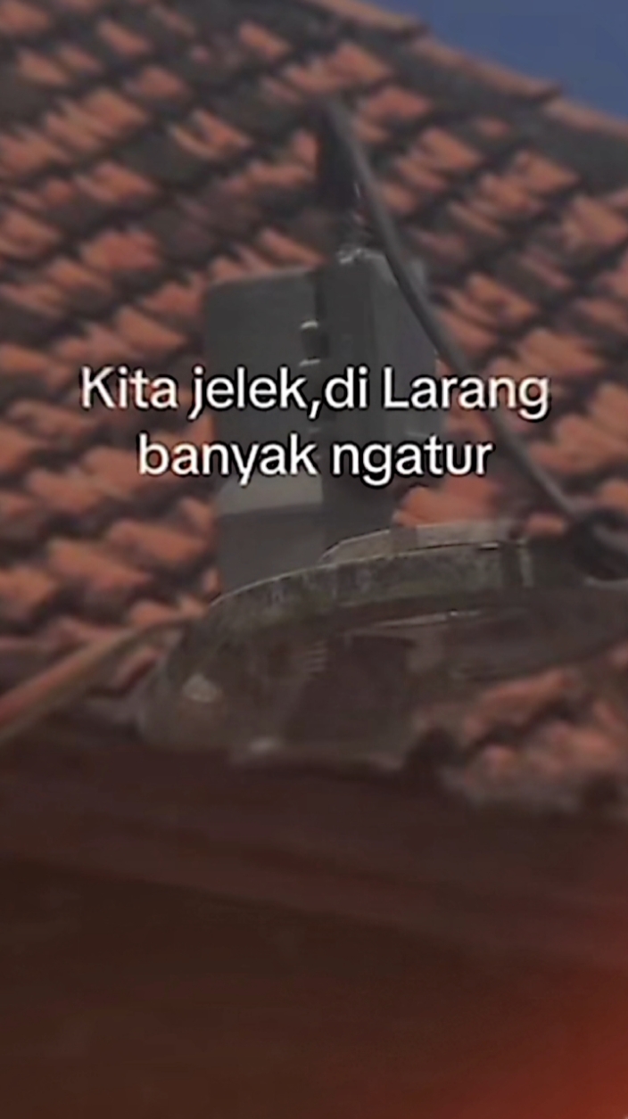 KITA JELEK, DILARANG