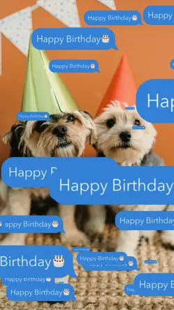 Dog birthday