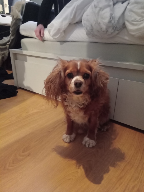 Saknar dig så mkt<33