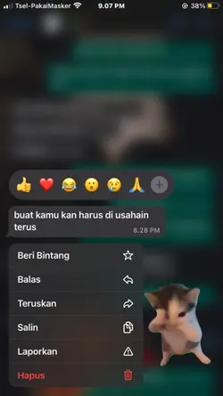 kucink kicau mania