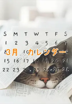 カレンダー