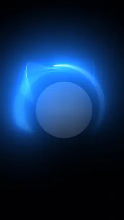 light portrait ³⁰