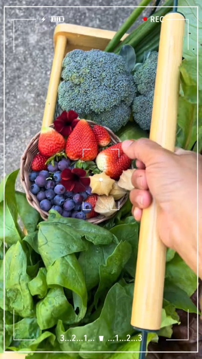 Gardening