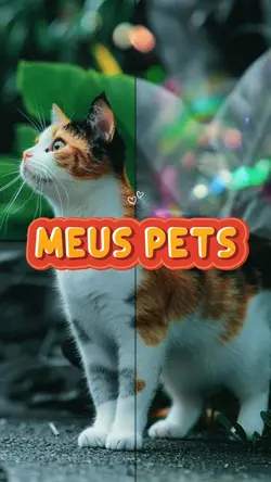 MEUS PETS